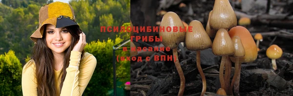 трава Абинск