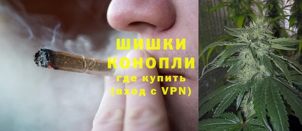 шишки Абаза