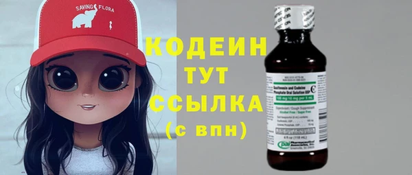 шишки Абаза