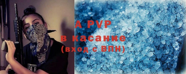 шишки Абаза