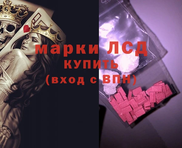 шишки Абаза