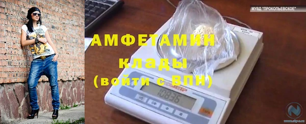 шишки Абаза