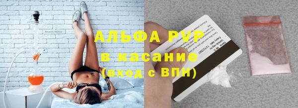 шишки Абаза