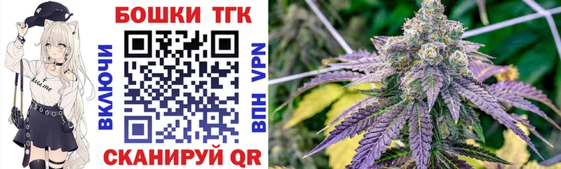 купить закладку  Химки  Бошки Шишки планчик 